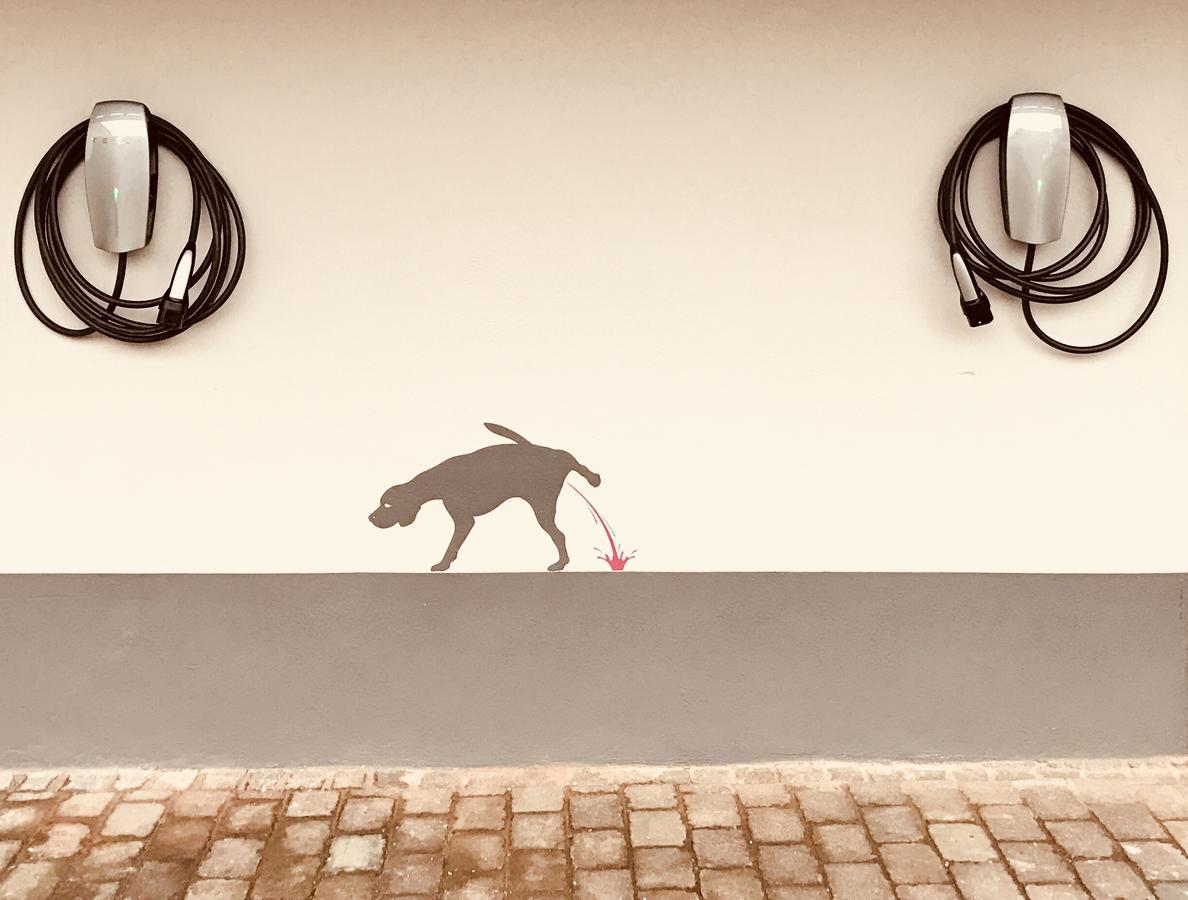 Heckenrose Hotel Ringsheim Esterno foto
